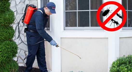 Koyulhisar Akrep İlaçlama böcek ilaçlama ve haşere kontrolü — ilaclama-tr.com